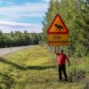 Skandinavien